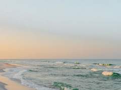 나경의 나권(하)