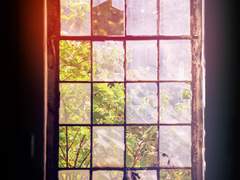 아나스의 경우?