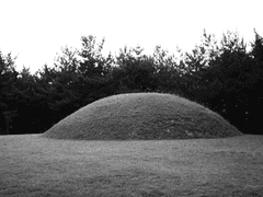 금동벌초(禁冬伐草)