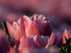 I want to be with you because you are.