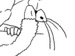 (번외) 비얌 후배 3+후일담