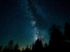 일일천추(一日千秋) (1)