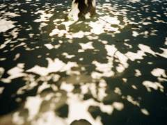 물빛아래 번져 흐르다