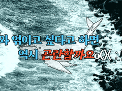 인어와 엮이고 싶다고 하면 역시 곤란할까요o(><；)oo