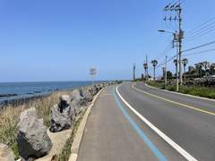 제주도의 푸른밤