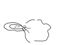 후디 캐디 커미션