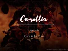 Camellia
