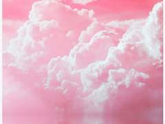 💖__ 솜 사탕 프로필