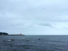 대포항 빨간 등대와 하얀 등대