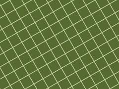 [문송] 김레이(여) 썰 백업