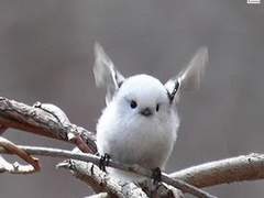 세상에서 가장 아름다운 TMI