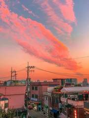 태양이 저무는 시간