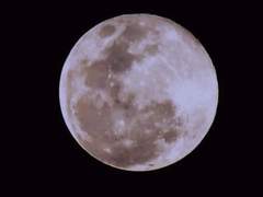 이럇사이 / 프레테리아 / XX / 28