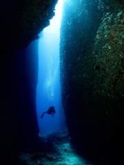 [유희왕 zexal]일상으로 돌아오기 까지