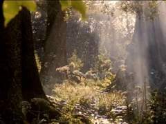 #02:빛에_드리운_그림자