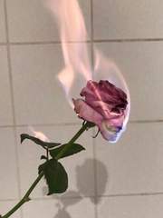 아무거나 모음집