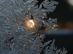 [신시호/코하] 겨울 속에 튼 둥지