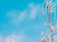 ✦회고의 마녀에 대한 기록