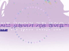 !Neo, the space cheese cat!