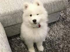 나나와 제똥이와 여주누나! (2)