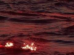 생존일지인데...