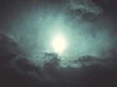 바람은 불다불다 그친다 01