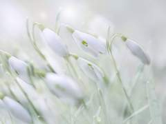 ᴇᴅᴇʟɪɴᴇ‬