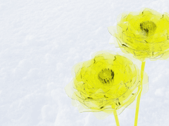 쓰리디는 재미있어