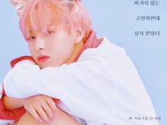 싸가지 없는 고양이한테 상처 받았다 ⑪