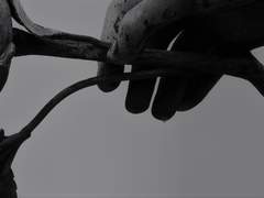 [ 담 하오취에 / 진보 / 31살 ]