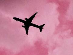 공지아닌공지같은공지!