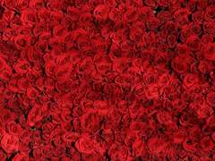 그리핀도르의 장난꾸러기