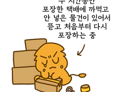 송장 붙여버린 택배 다시 포장하기