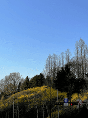 바운더리안 프로젝트 1 : 개롱