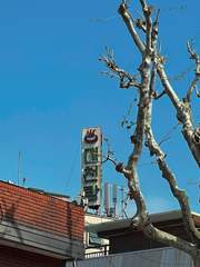 바운더리안 프로젝트 2 : 보광