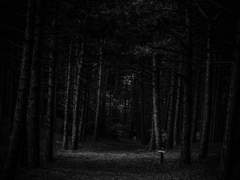 내 곁에 있어요.