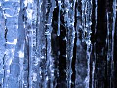 [청아라/29/XX/진입/공개]