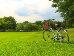 [신이치] 자전거