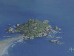 [빈센조] Pagliuzza 섬 - 동생이 생겼어요