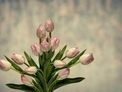 [수혁록수/장편] 거짓말쟁이와 사기꾼의 포식관계4