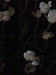 어쩌다보니 너랑