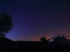 카르티스 과거 망상 낙서