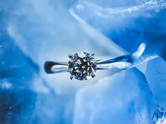 차예화/22/XX 공개 프로필