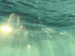 [삿마르] 물에 잠기는 느낌은 언제나 특별하다