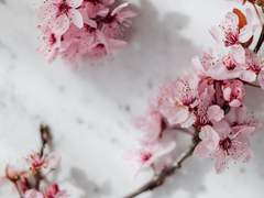 지하별 비밀프로필