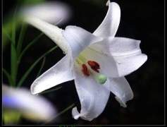 떠나간 너를 쫒아가며