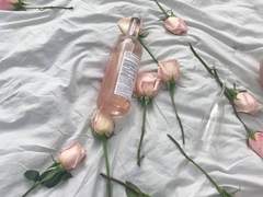 플러퓸 버스 세계관