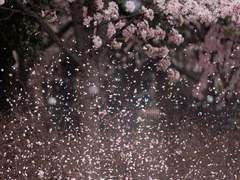 [시목동재] 나의 모든 사랑이 下