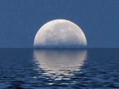 달밤 아래 그 남자