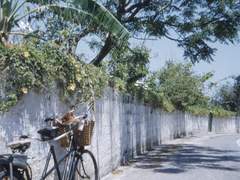 [레이코가] 새파란 거짓말